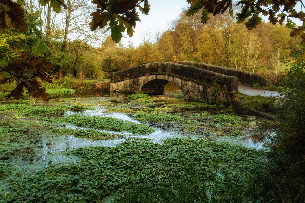 That Bridge at Haigh